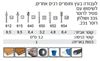 Picture of כרסמים לרוטר 9,5 מ"מ דרמל