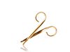 Picture of SCISSORS DUCK GOLD RUBIS