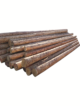 Picture of Wooden Pole 8.5m