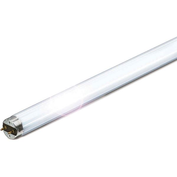 Picture of TL-D 30W/33-765 1SL/25