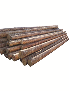 Picture of Wooden Pole 10m