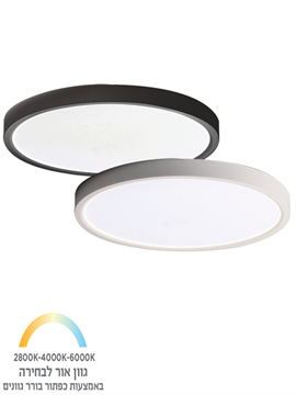 Picture of D300mmXH24MM  24W CCT Button white