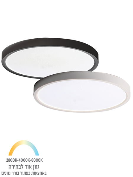 Picture of D300mmXH24MM  24W CCT Button white