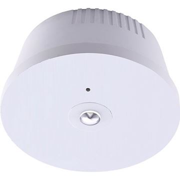 Picture of VEGA EMERGENCY SURFACE 3W