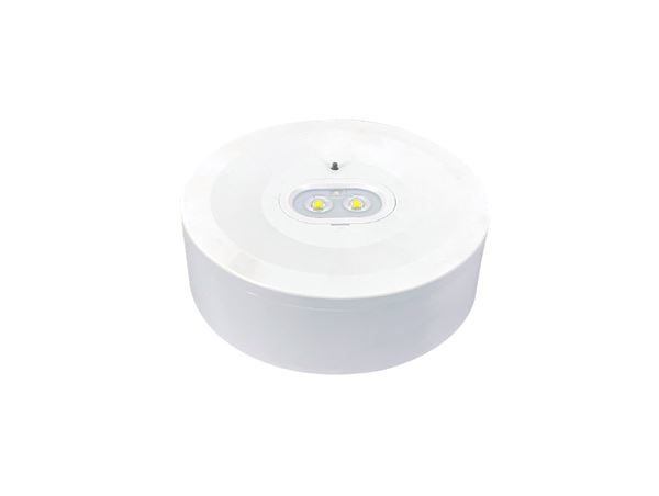 תמונה של דקל חירום חיצוני 6W
