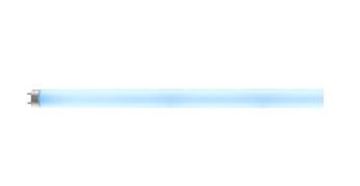Picture of Short 15W killer bulb (45 cm)