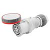 Picture of IP67 CONNECTOR 3P+N+E 63A 400V 6