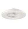 Picture of NEWTON Kophangan 500MM FAN WHITE 40W+LED 3CCT