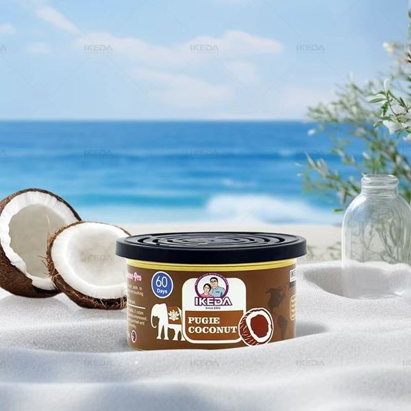 Picture of Waterless air freshener