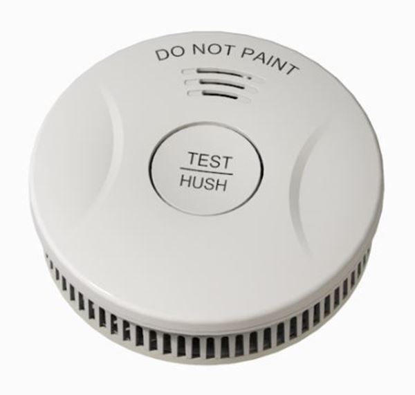 Picture of Battery operated smoke alarm with 10 years battery TS3939A