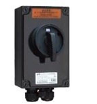 Picture of Explosion-Proof Switch, 3-Pole, 25A