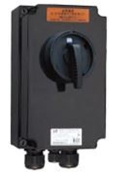 Picture of Explosion-Proof Switch, 3-Pole, 40A