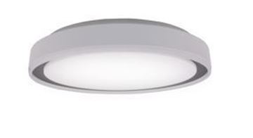 Picture of Liv 45W 3CCT 490mm