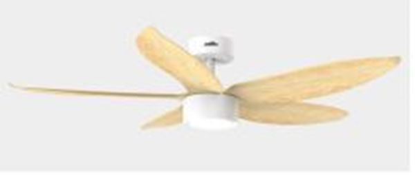 Picture of Fiji Ceiling Fan White+ wooden 52 Inch 20W DC + Led 3CCT