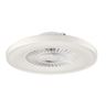 Picture of NEWTON Kophangan 500MM FAN WHITE 40W+LED 3CCT
