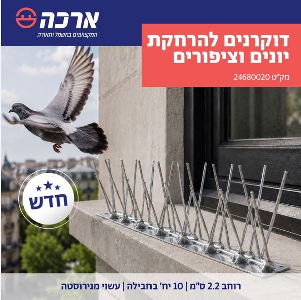 Picture of Stainless steel bird spike 10 units SET