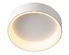 Picture of SMD LED DOWN LIGHT round shaked 3cct white 45W