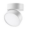 Picture of Surface mounted round Adjastable Miron white 15W  3CCT IP