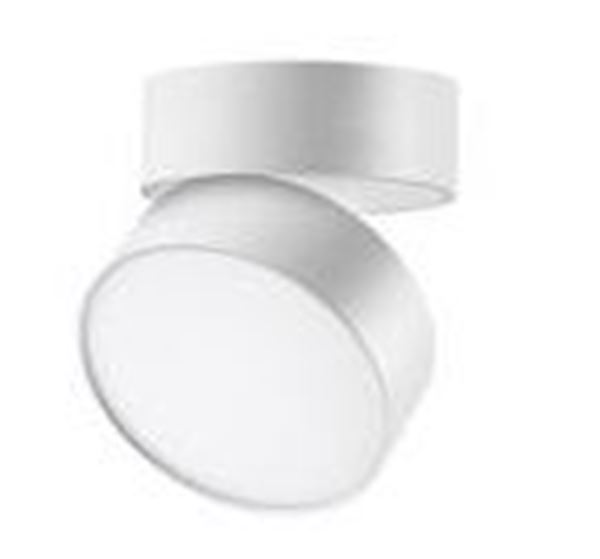 Picture of Surface mounted round Adjastable Miron white 15W  3CCT IP
