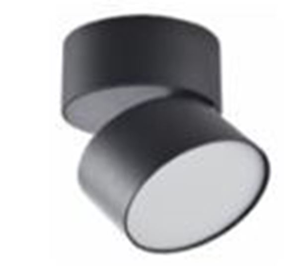 Picture of Surface mounted round Adjastable Miron Black 15W  3CCT IP