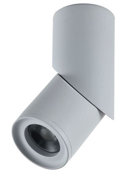 Picture of Surface mounted Ramon adjastable white 15W  3CCT IP20
