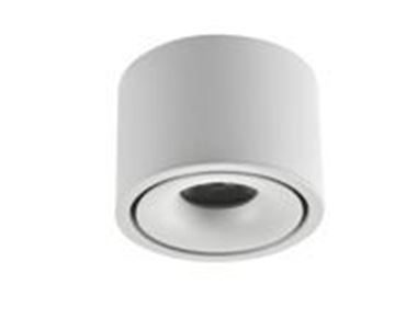 Picture of Surface mounted Spot Arbel white 12W  3CCT IP20