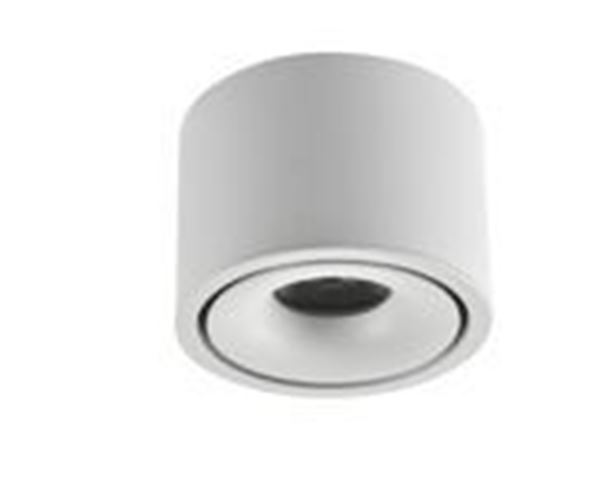 Picture of Surface mounted Spot Arbel white 12W  3CCT IP20