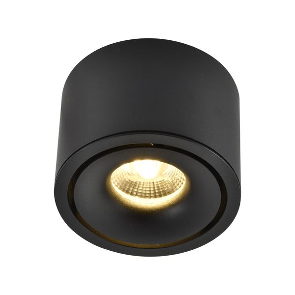 Picture of Surface mounted Spot Arbel Black 12W  3CCT IP20