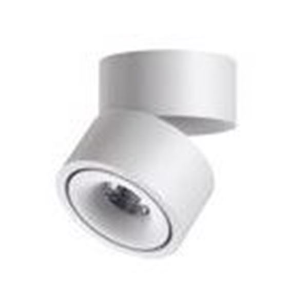 Picture of Surface mounted Spot Adjastable Arbel white 12W  3CCT IP2