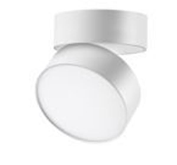 Picture of Surface mounted round Adjastable Miron white 10W  3CCT IP