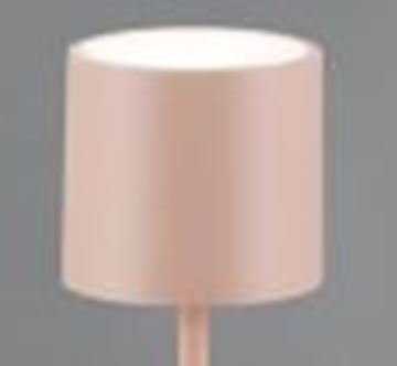 Picture of Melanie Rechargeable  Desk Lamp IP54 3000K-5500K 1.7W coffe