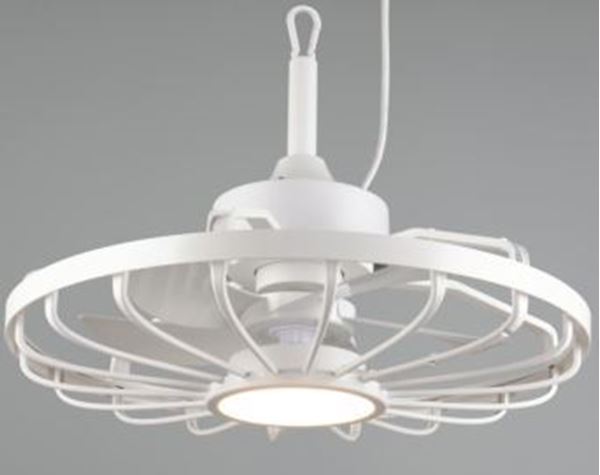 Picture of Zanzibar White Ceiling Fan 50mm W20 CCT 2700K-6500 IP44